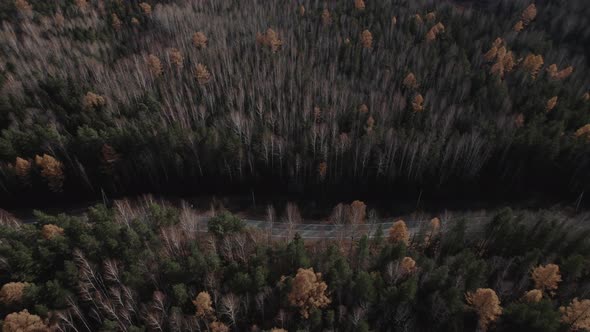 Road between autumn forest in Ural
