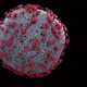 Corona Virus - VideoHive Item for Sale