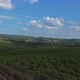 Landscape in Tuscany, Italy - VideoHive Item for Sale