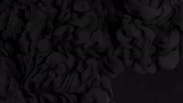 Super Slow Motion Shot of Abstract Black Ink Flowing in Water at 1000Fps alt