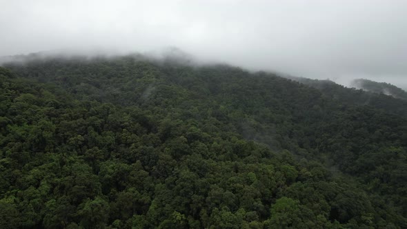 Aerial landscape view of greenery rainforest and hills on foggy day by drone