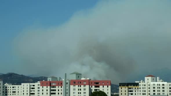 Hollywood Smoke Time Lapse alt