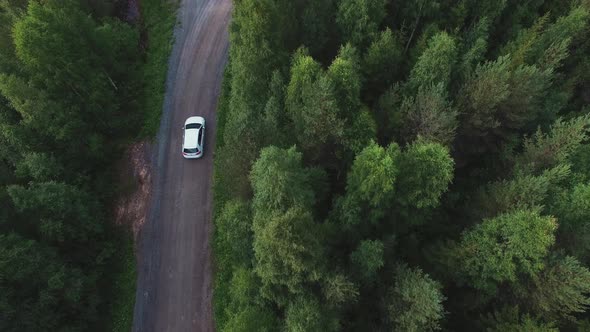 Car driving on country road in forest