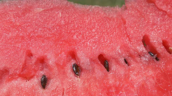 Watermelon red juicy  fruit 4K closeup UHD  2160p footage - Watermelon   juicy fruit 3840X2160 UHD p