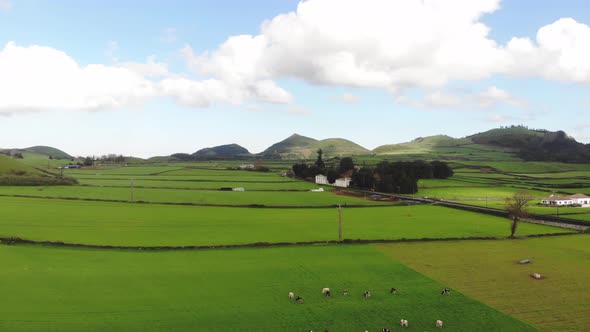 Panoramic of Vast green grazing fields in Azores, Portugal - Fly-over Reveal shot alt