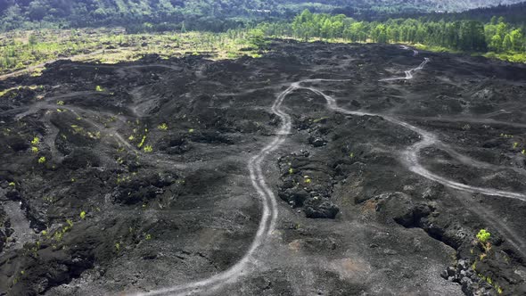 Green Trees Plant Growing on Black Lava Field on Hawaii. Aerial View  alt