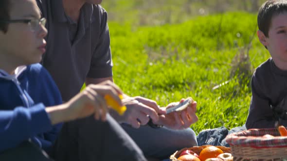 A family with 4 children having a picnic outdoors on a green hill in the sun alt