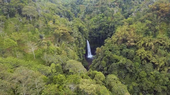 Aerial Jungle Waterfall