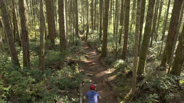 drone video of a mountain biker riding dirt trails through the lush forests of the Pacific Northwest alt