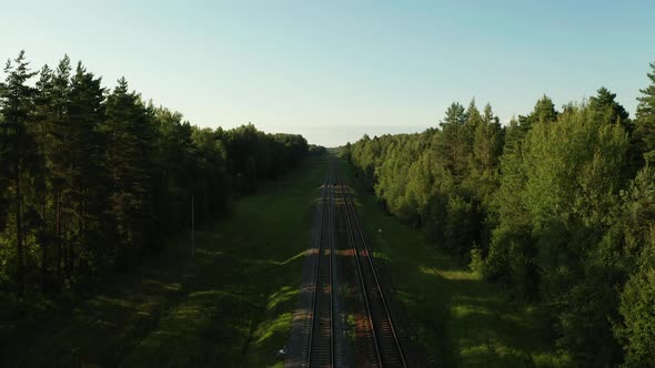 Scenic Aerial View on Railway Train Tracks Among Green Forest at Sunny Day