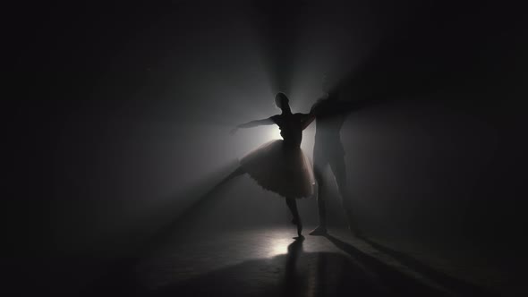 Graceful Ballerina and Her Male Partner Dancing Elements of Classical Ballet alt