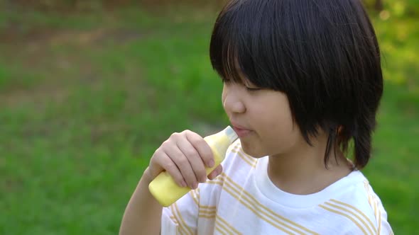 Cute Asian Child Eating Ice Cream In The Park alt