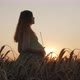 silhouette figure of happy pregnant red-haired young woman in dress standing in ripe wheat field - VideoHive Item for Sale