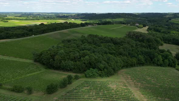 Aerial view bordeaux vineyard in summer, landscape vineyard . High quality 4k footage