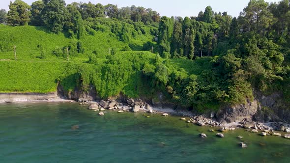 Flight Over the Black Sea Green Cape and Botanical Garden Batumi Georgia alt