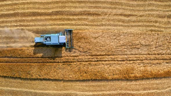 Aerial view of combine harvesting golden field alt