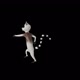 Cartoon Lemur Dancing - VideoHive Item for Sale