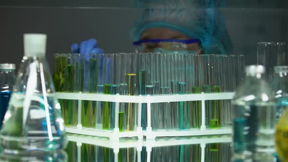 Researcher Checking Sediments in Tubes With Test Liquids, Vitamin Production alt