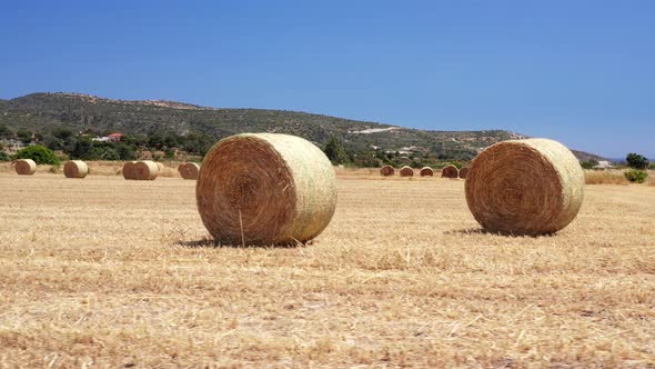 Farm field with hay bales alt