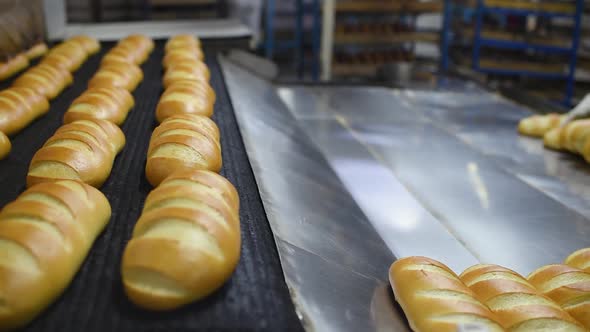 Young Male Baker Removes Fresh Fragrant Hot Loaves and Pastries From the Oven Against the Background alt