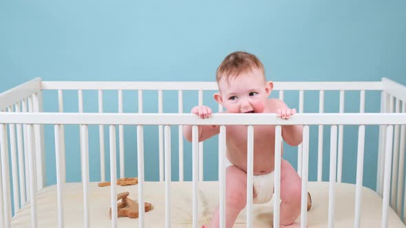 Infant baby boy is sitting in a crib and playing with toys, blue studio background alt