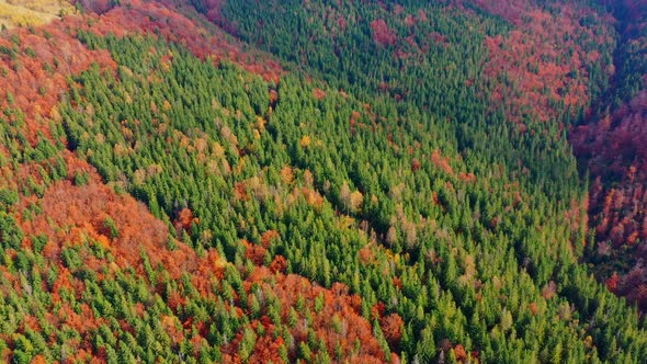 Aerial Drone Video Flying Over Carpathians Mountains, Ukraine, Europe alt
