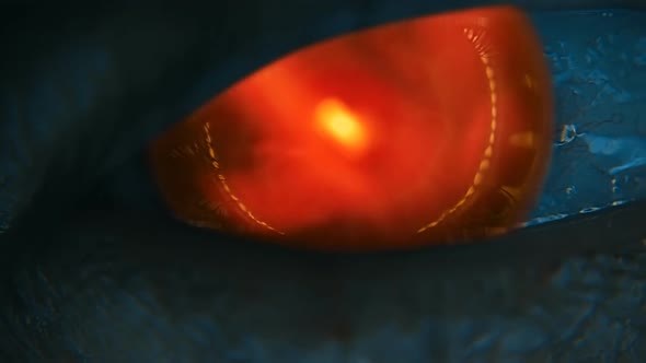 Blinking Eye With A Fiery Whirlwind Coming From The Pupil. The Eye Of The Devil 2