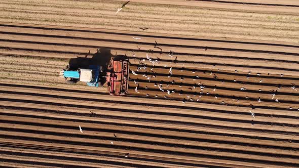 Agricultural Work on a Tractor Farmer Sows Grain alt