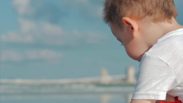 Cute Little Child Plays Near the Sea, Kid Catches, Considers Live Sea Shells, Crabs, On a Tropical alt