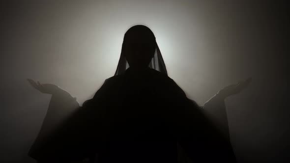 Virgin Mary Raises Her Hands Against Bright Light alt