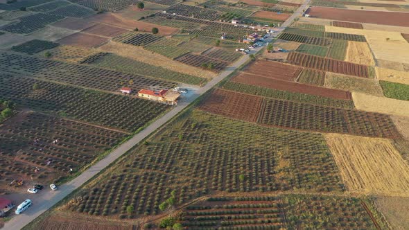 Lavender Fields Turkey Alanya alt