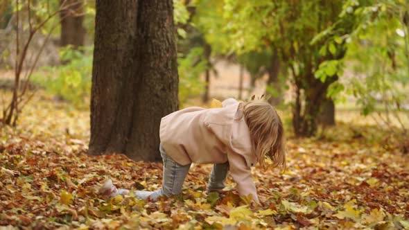 Cheerful and Sweet Little Girl Collects Fallen Autumn Leaves alt