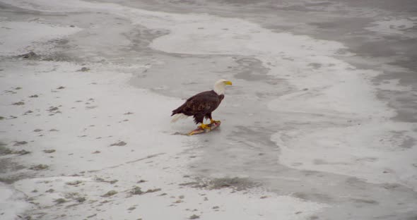 Helicopter aerial, sun streaming through clouds over PCH highway, overcast day alt