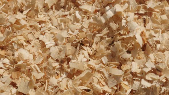 Background   with wood cutting scobs pile slow pan 4K 2160p 30fps UltraHD footage - Wooden sawdust o alt