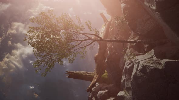 Mountain Landscape at Sunset. Amazing View From the Mountain Peak alt