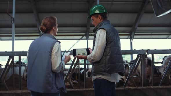 Animal Farmers Using Tablet Computer at Feedlots alt