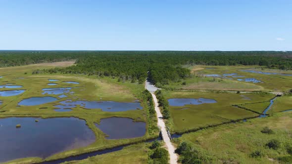 Aerial view of the national park landscape, research reserve, wetland and forest alt