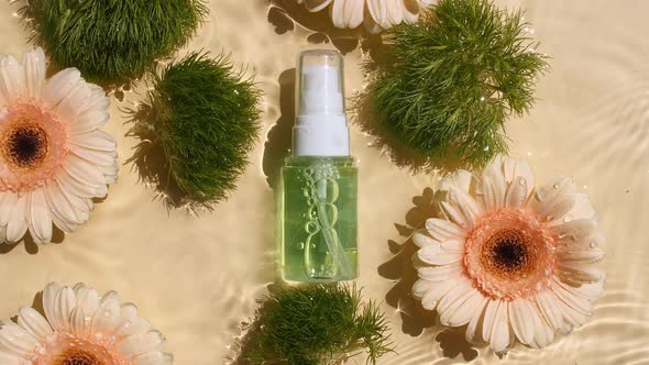 Sunflower Flowers Gerbera Petals Flowers on Water Surface with Drops alt