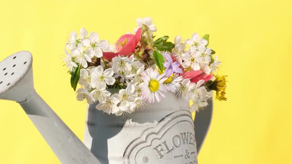 Flowers alt