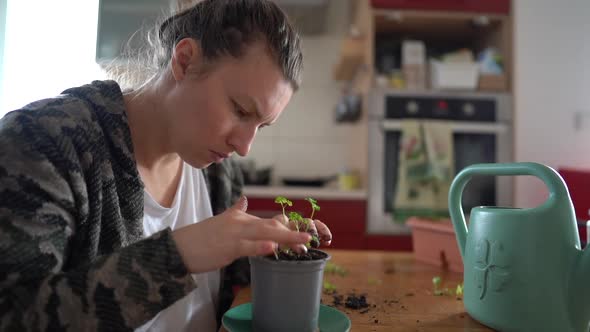 Portrait of Young Housewife Planting the Seedlings in a Flower Pot in Her Kitchen alt