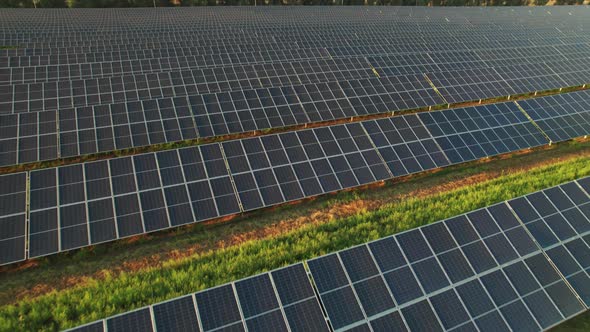 Aerial View Solar Power Station on Green Field at Sunset Solar Panels in Row alt