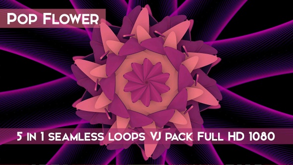 Pop Flower VJ Loops
