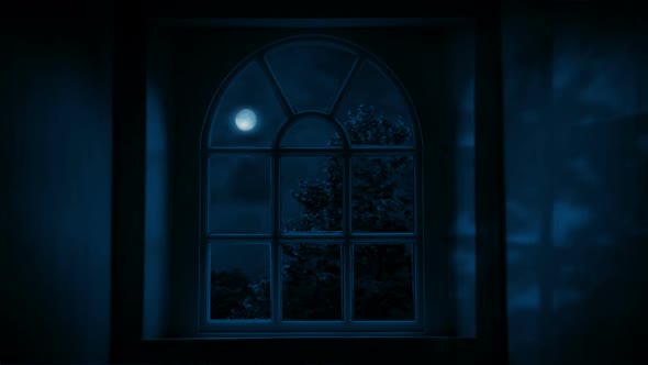 dark moonlight window background