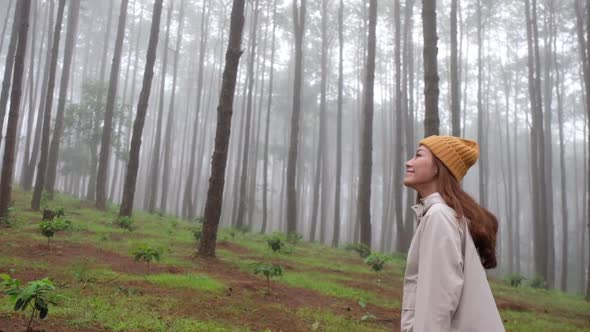 Slow motion of a young asian woman walking alone in pine tree woods on foggy day