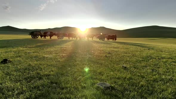 Central Asian Family People Walking Immigrating With Traditional Old Oxcart Tumbrel And Tumbril Cart alt