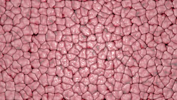 Moving Textures in the Shape of Living Organs alt