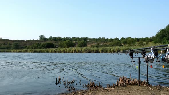 Carp Fishing Rods with Carp Bite Indicators and Reels Set Up on Rod Pod on a Background of Lake or alt