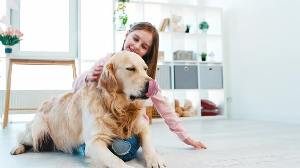 Little Girl Petting Golden Retriever Dog alt