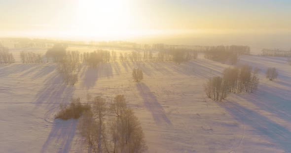 Aerial Drone View of Cold Winter Landscape with Arctic Field Trees Covered with Frost Snow and alt