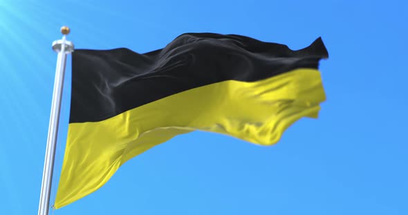 Namur City Flag, Belgium alt